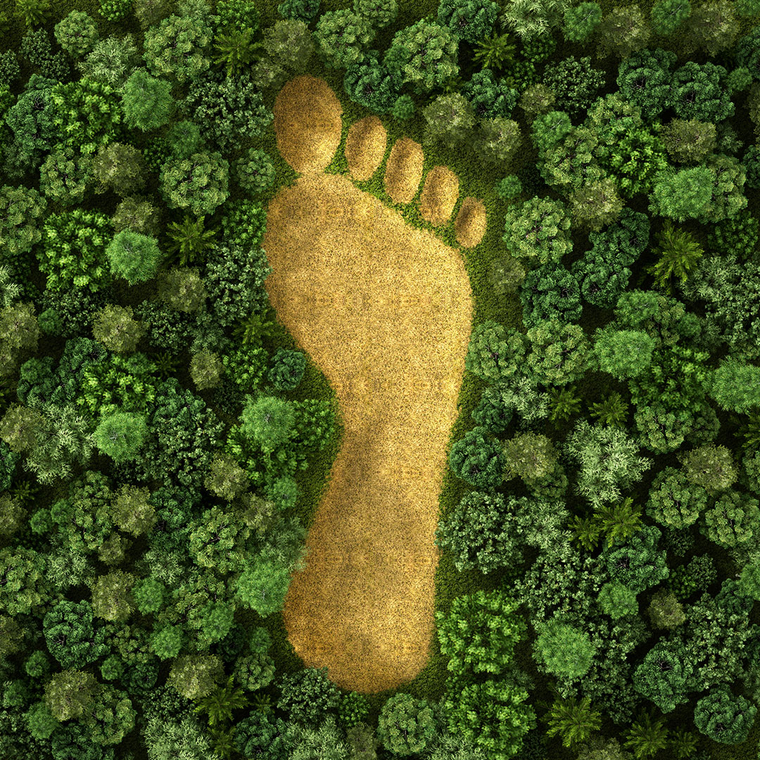 LearnStep-global-Stories-